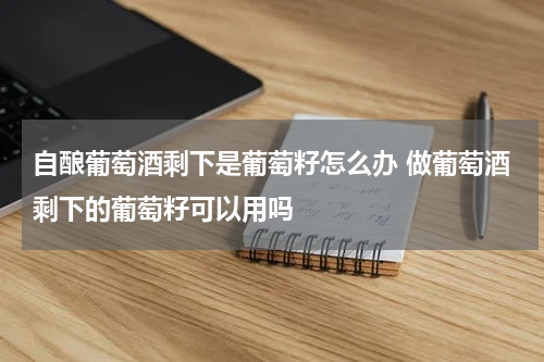 自酿葡萄酒剩下是葡萄籽怎么办 做葡萄酒剩下的葡萄籽可以用吗