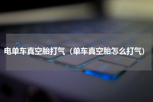电单车真空胎打气（单车真空胎怎么打气）