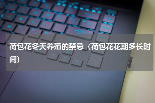 荷包花冬天养殖的禁忌（荷包花花期多长时间）