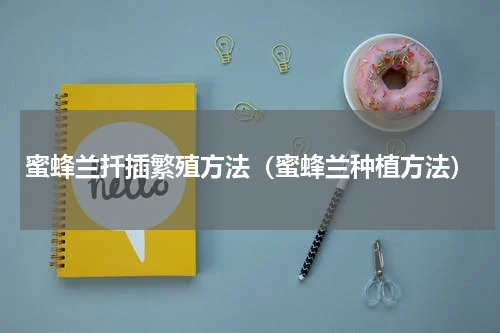 蜜蜂兰扦插繁殖方法（蜜蜂兰种植方法）