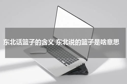 东北话篮子的含义 东北说的篮子是啥意思