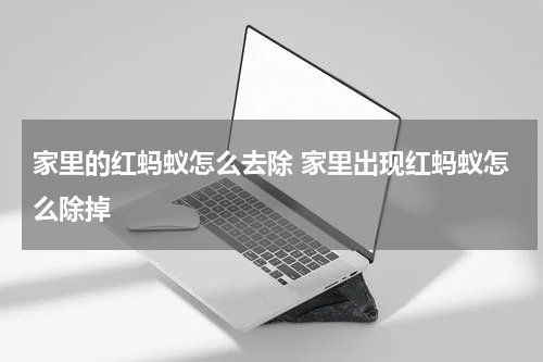 家里的红蚂蚁怎么去除 家里出现红蚂蚁怎么除掉
