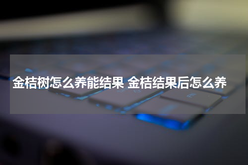 金桔树怎么养能结果 金桔结果后怎么养