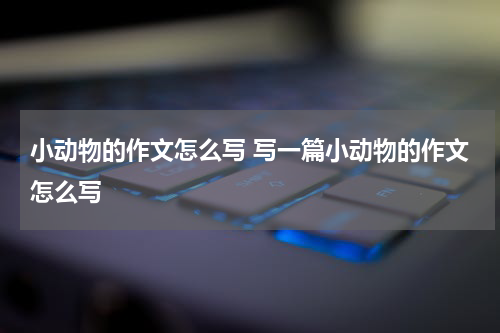 小动物的作文怎么写 写一篇小动物的作文怎么写
