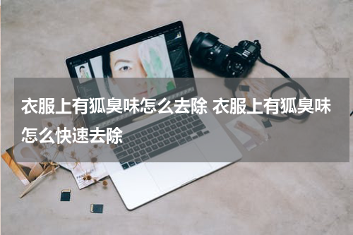 衣服上有狐臭味怎么去除 衣服上有狐臭味怎么快速去除