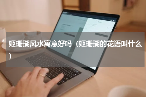 姬珊瑚风水寓意好吗（姬珊瑚的花语叫什么）