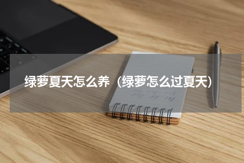绿萝夏天怎么养（绿萝怎么过夏天）