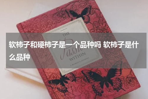 软柿子和硬柿子是一个品种吗 软柿子是什么品种