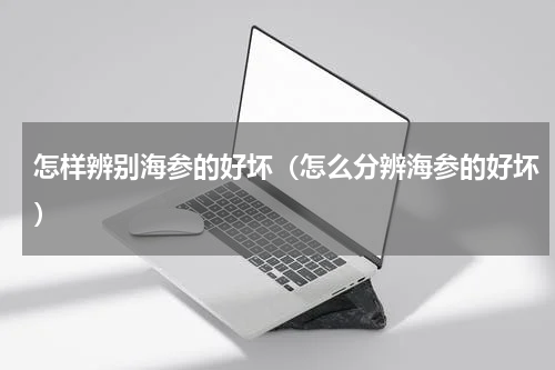 怎样辨别海参的好坏（怎么分辨海参的好坏）