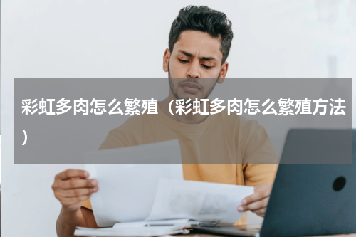 彩虹多肉怎么繁殖（彩虹多肉怎么繁殖方法）