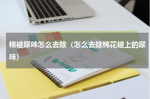 棉被尿味怎么去除（怎么去除棉花被上的尿味）