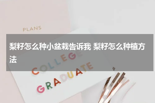 梨籽怎么种小盆栽告诉我 梨籽怎么种植方法