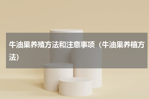 牛油果养殖方法和注意事项（牛油果养植方法）