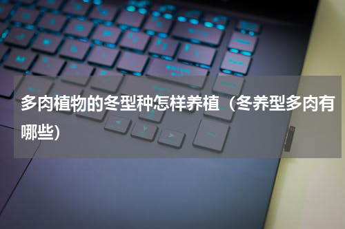 多肉植物的冬型种怎样养植（冬养型多肉有哪些）