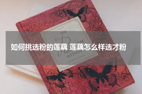 如何挑选粉的莲藕 莲藕怎么样选才粉