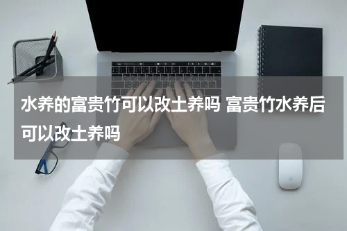 水养的富贵竹可以改土养吗 富贵竹水养后可以改土养吗