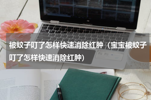 被蚊子叮了怎样快速消除红肿（宝宝被蚊子叮了怎样快速消除红肿）