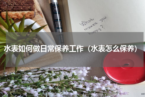 水表如何做日常保养工作（水表怎么保养）