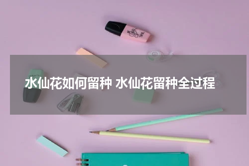 水仙花如何留种 水仙花留种全过程