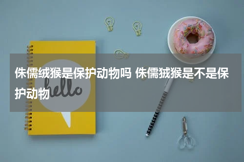 侏儒绒猴是保护动物吗 侏儒狨猴是不是保护动物