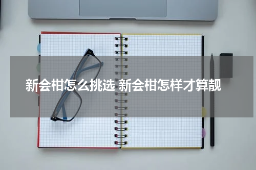 新会柑怎么挑选 新会柑怎样才算靓