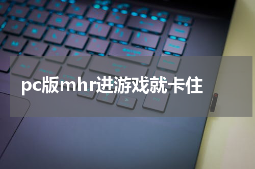 pc版mhr进游戏就卡住