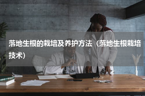 落地生根的栽培及养护方法（落地生根栽培技术）