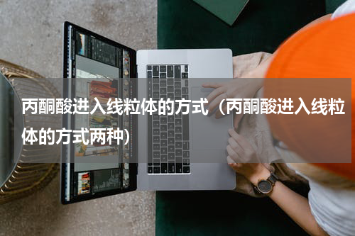 丙酮酸进入线粒体的方式（丙酮酸进入线粒体的方式两种）