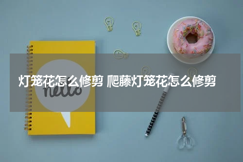 灯笼花怎么修剪 爬藤灯笼花怎么修剪