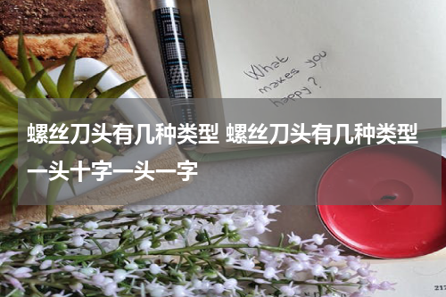 螺丝刀头有几种类型 螺丝刀头有几种类型一头十字一头一字