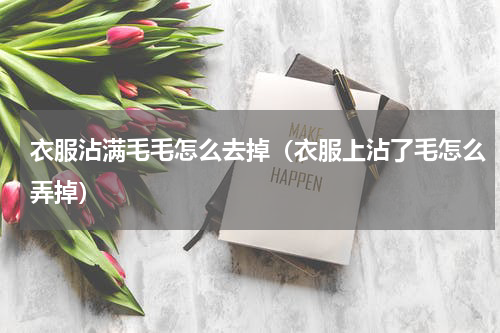 衣服沾满毛毛怎么去掉（衣服上沾了毛怎么弄掉）