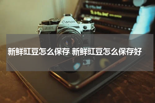 新鲜豇豆怎么保存 新鲜豇豆怎么保存好