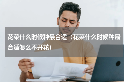 花菜什么时候种最合适（花菜什么时候种最合适怎么不开花）