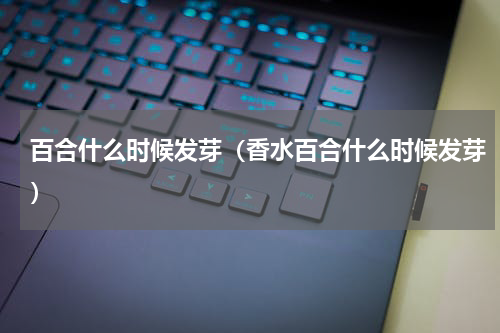 百合什么时候发芽（香水百合什么时候发芽）