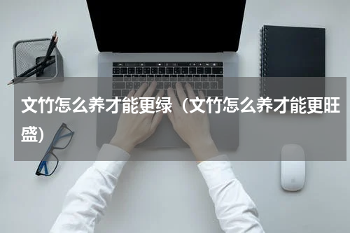 文竹怎么养才能更绿（文竹怎么养才能更旺盛）