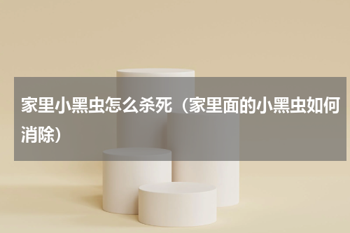 家里小黑虫怎么杀死（家里面的小黑虫如何消除）