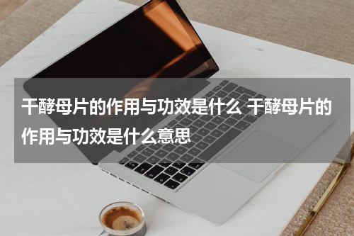 干酵母片的作用与功效是什么 干酵母片的作用与功效是什么意思