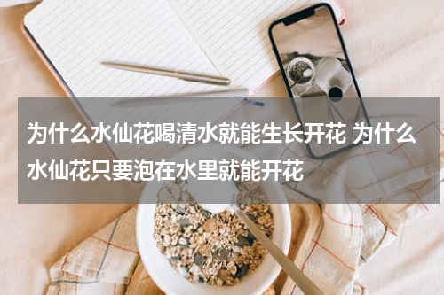 为什么水仙花喝清水就能生长开花 为什么水仙花只要泡在水里就能开花