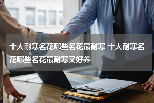 十大耐寒名花哪些名花最耐寒 十大耐寒名花哪些名花最耐寒又好养