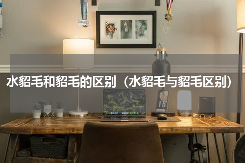 水貂毛和貂毛的区别（水貂毛与貂毛区别）