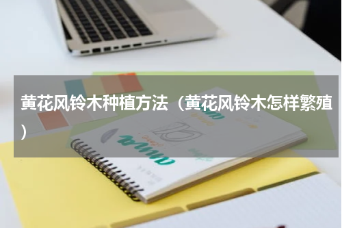 黄花风铃木种植方法（黄花风铃木怎样繁殖）