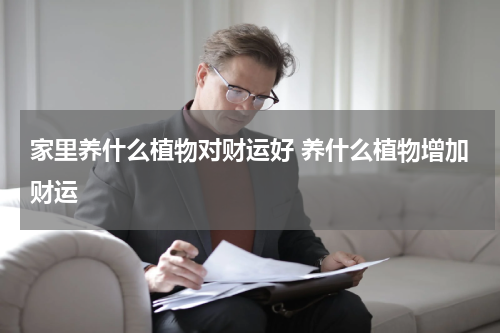 家里养什么植物对财运好 养什么植物增加财运