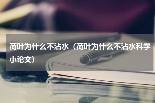 荷叶为什么不沾水（荷叶为什么不沾水科学小论文）