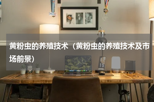 黄粉虫的养殖技术（黄粉虫的养殖技术及市场前景）