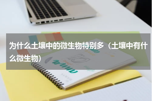 为什么土壤中的微生物特别多（土壤中有什么微生物）