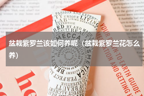 盆栽紫罗兰该如何养呢（盆栽紫罗兰花怎么养）