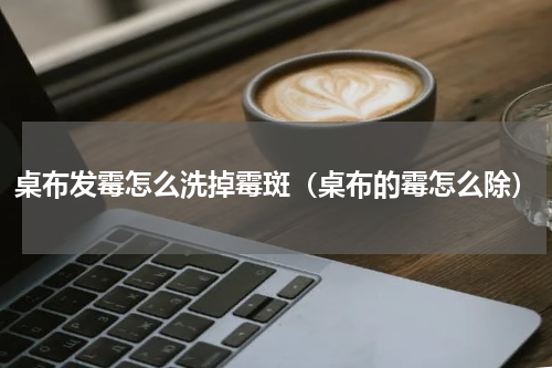 桌布发霉怎么洗掉霉斑（桌布的霉怎么除）