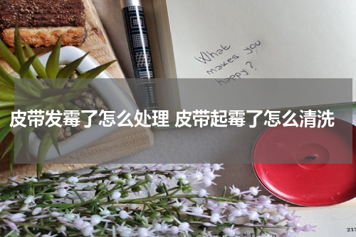 皮带发霉了怎么处理 皮带起霉了怎么清洗