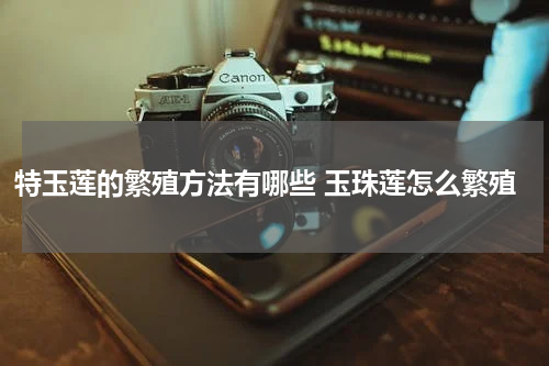 特玉莲的繁殖方法有哪些 玉珠莲怎么繁殖