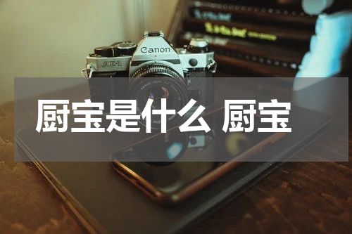 厨宝是什么 厨宝